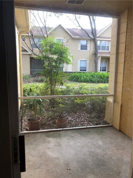 Patio View