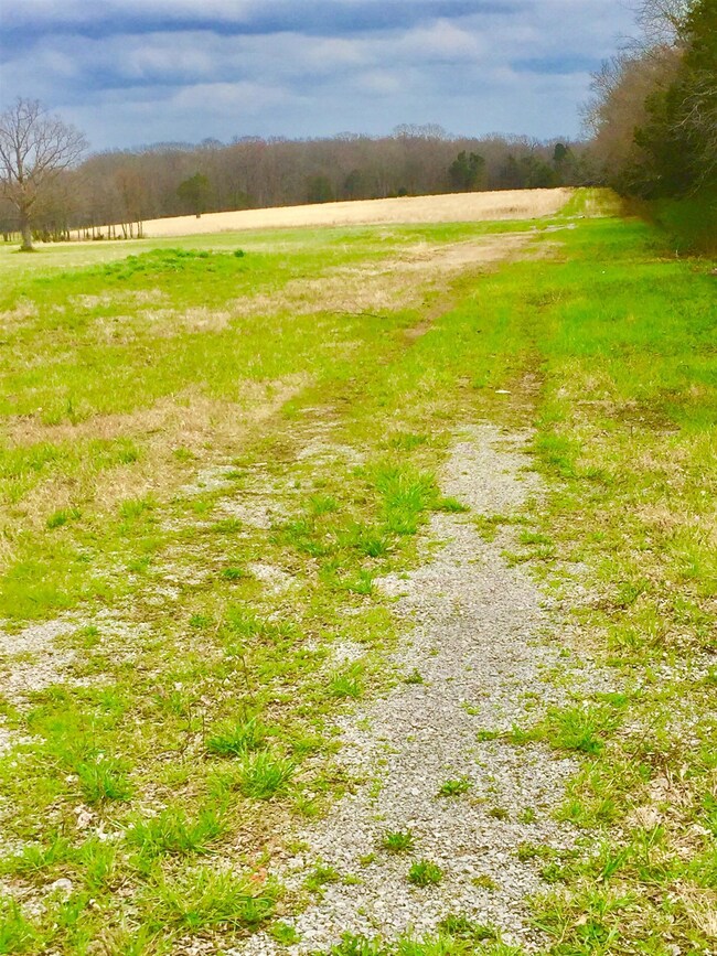 297 Whitaker Rd, Shelbyville, TN 37160 - photo 3