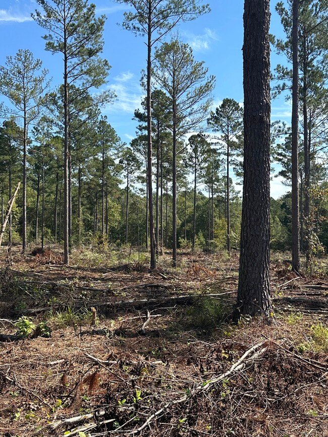 0 Seven Islands Rd unit 22542831, Madison, GA 30650 - photo 4