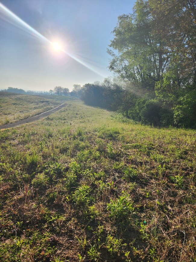 0 E State Road 44 unit MBR21919261, Franklin, IN 46131 - photo 3