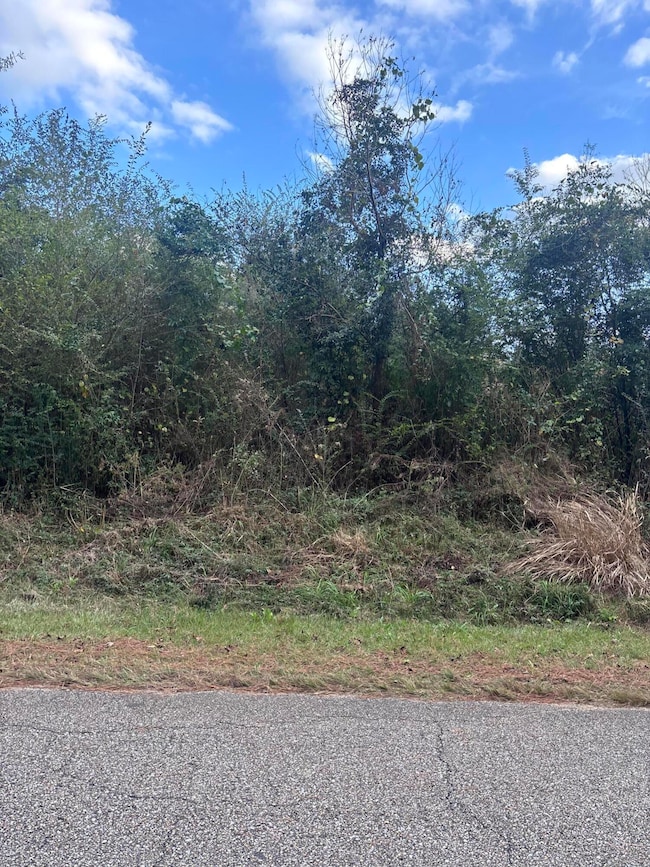 00 Phillips Rd, Sumrall, MS 39482 - photo 2