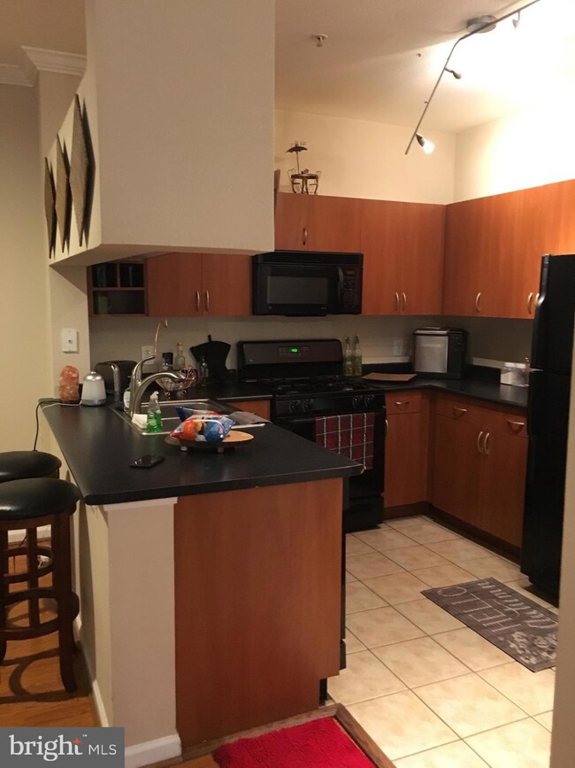 13503 Kildare Hills Terrace unit 201, Germantown, MD 20874 - photo 7