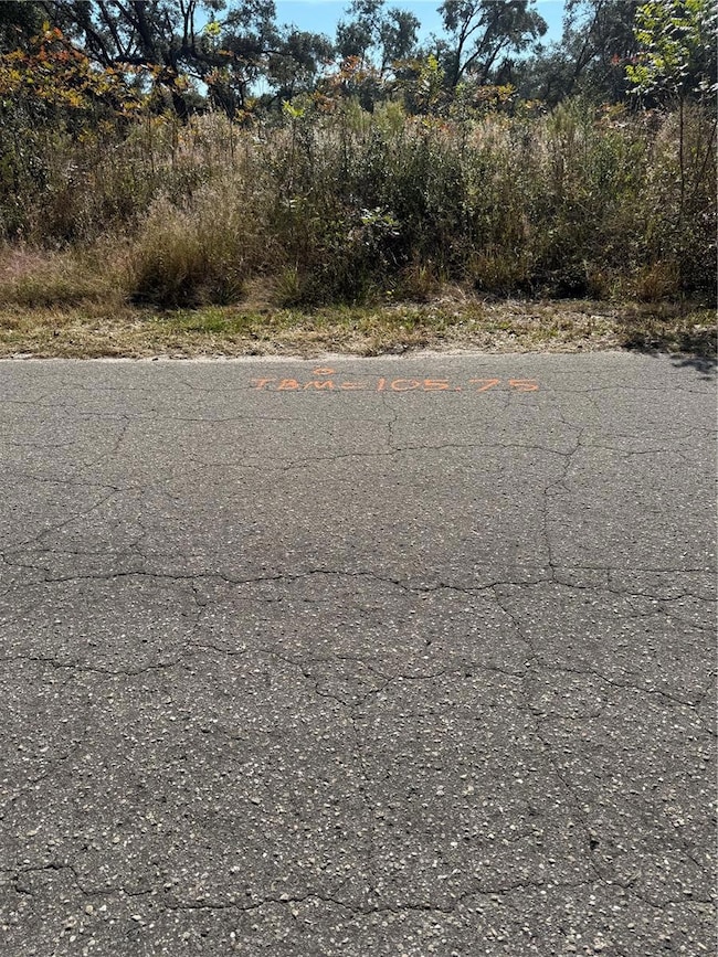 0 SE 115 Place Rd unit MFRG5104731, Ocklawaha, FL 32179 - photo 5