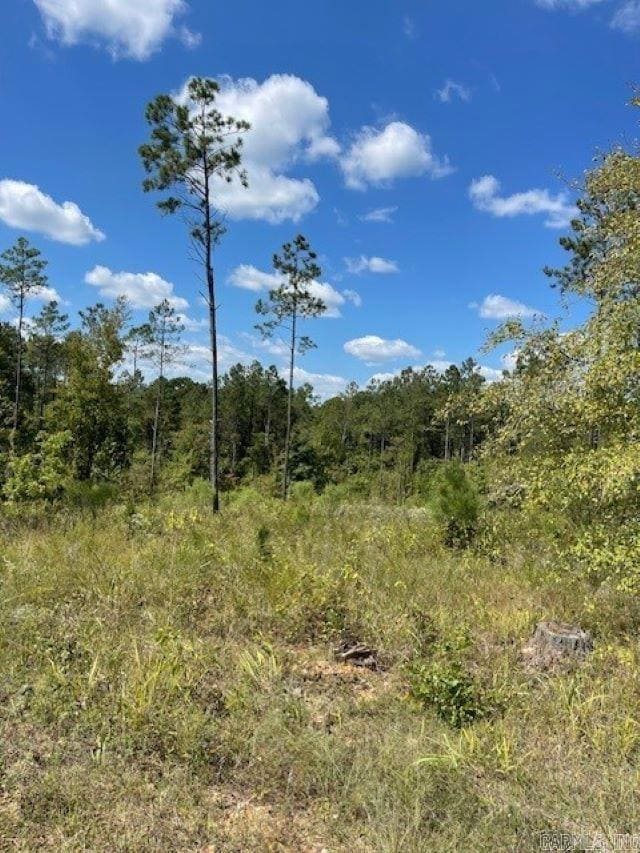 Lot 1AR Highway 298, Benton, AR 72019 - photo 3