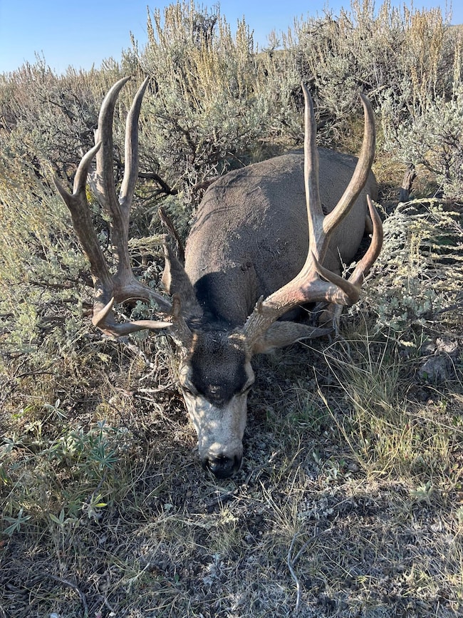 0 Tbd unit 25641985, Big Piney, WY 83113 - photo 5