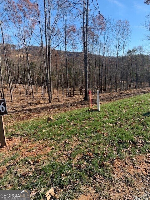 Lot 146