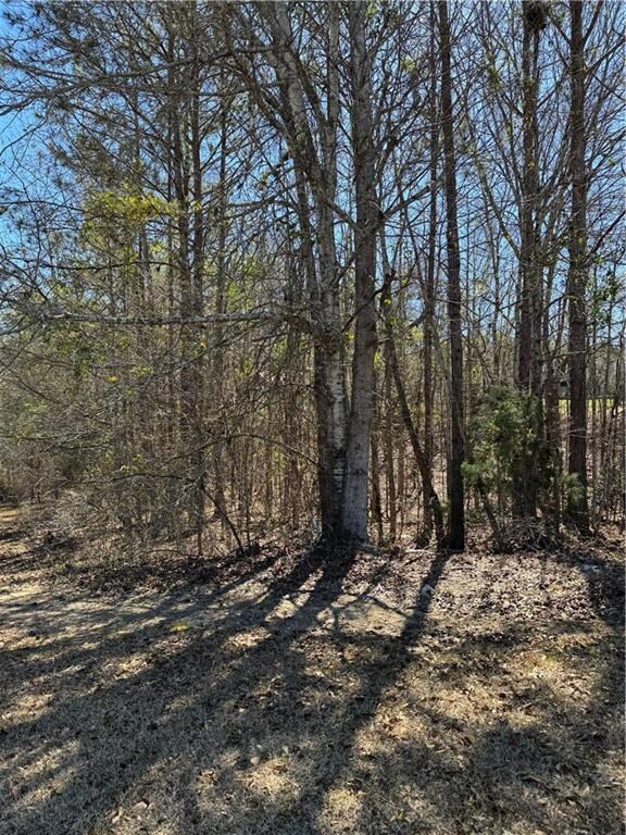 2058 Lee Rd, Salem, AL 36874 - photo 3