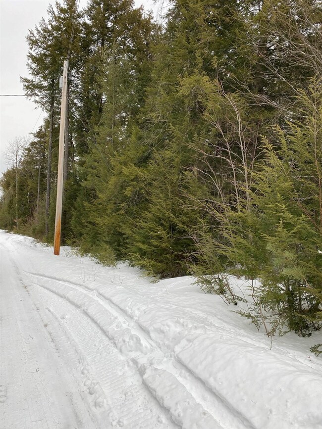 0 Forest View Dr unit 6 4899657, Effingham, NH 03882 - photo 5
