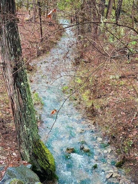 255 Pine Tree Dr, Williams, OR 97544 - photo 4