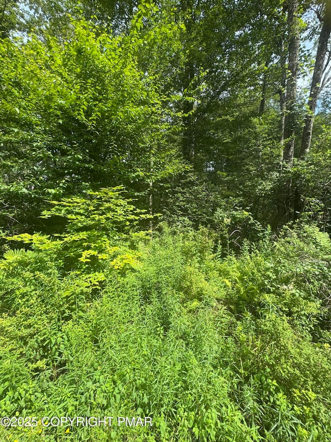 26 Spruce Rd, Blakeslee, PA 18610 - photo 4