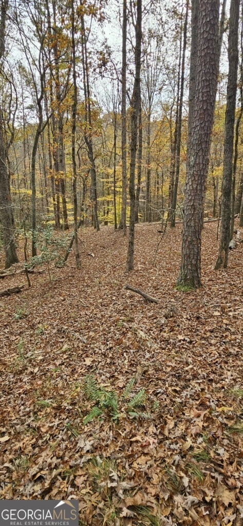 0 N Falling Waters Dr unit LOT 32B, Demorest, GA 30535 - photo 2