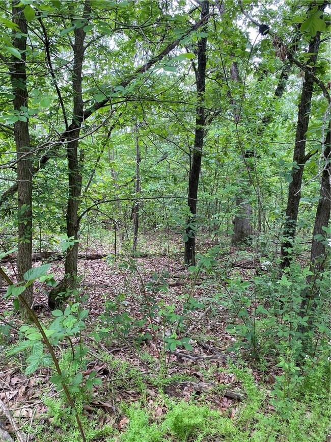 0 Leland Ln unit 1185013, Bella Vista, AR 72715 - photo 3