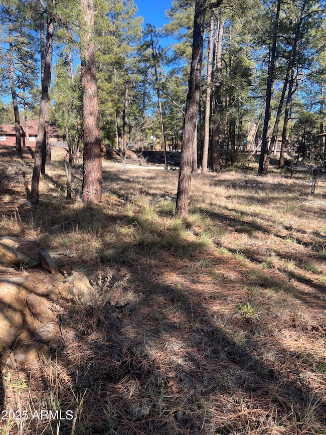 800 E Reindeer Dr, Munds Park, AZ 86017 - photo 4