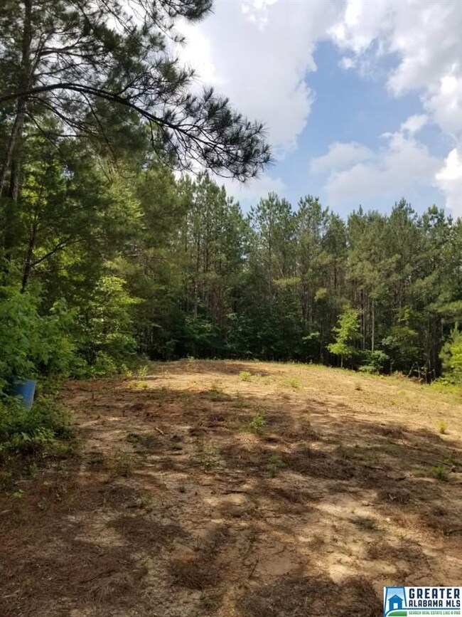 5 Charles Taylor Rd unit 5, Vance, AL 35490 - photo 6