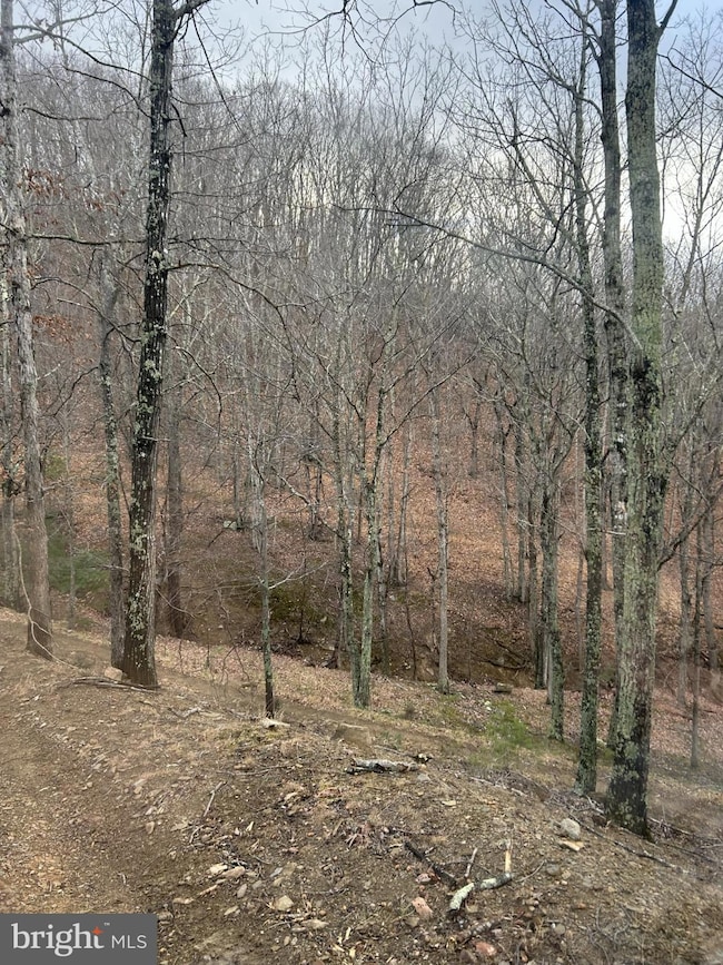 365 Strauter, Franklin, WV 26807 - photo 6