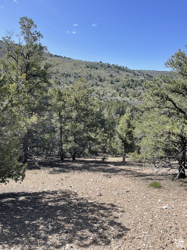 292 U S Highway 89 unit 12, Fairview, UT 84629 - photo 5