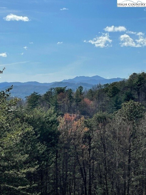 0 Big Sky Rd unit 248484, Ferguson, NC 28624 - photo 2