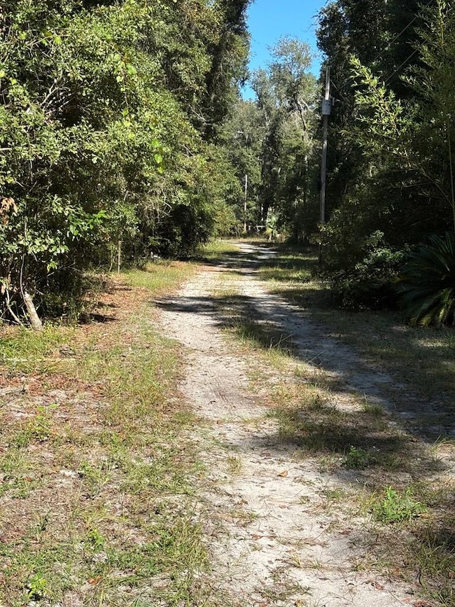 Lot 3 SE 843rd St, Old Town, FL 32680 - photo 2