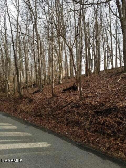 Old Cave Springs Road Lot 2