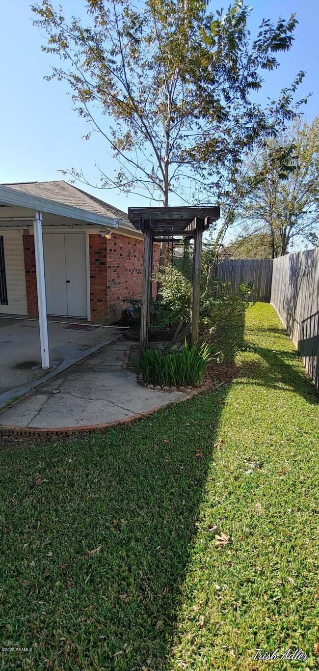 back yard