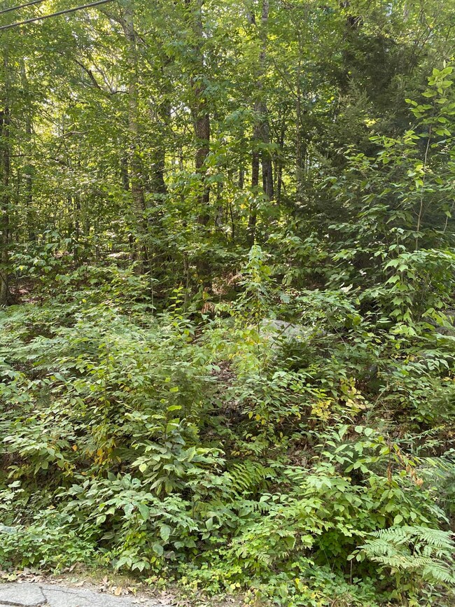 16 Malcolm Rd S, Bridgton, ME 04009 - photo 4