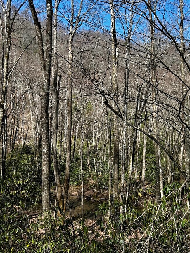 0 Little Snowbird Rd unit 152342, Robbinsville, NC 28771 - photo 2