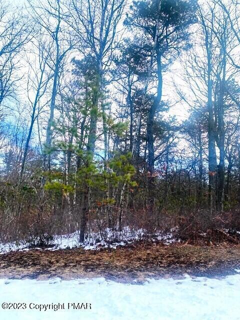 91 Pinecrest Dr, Pocono Pines, PA 18350 - photo 2