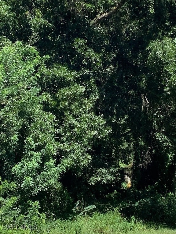 4910 Miraham Dr, Immokalee, FL 34142 - photo 4