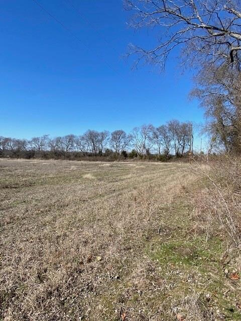 0 County Road 4045, Ector, TX 75439 - photo 3