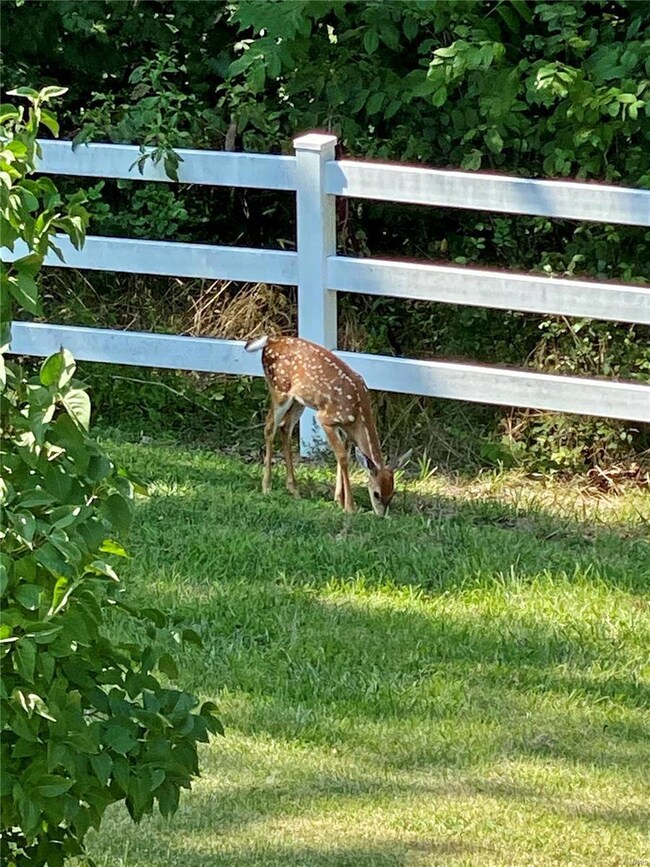 22125 Relaxing Dr, Waynesville, MO 65583 - photo 7