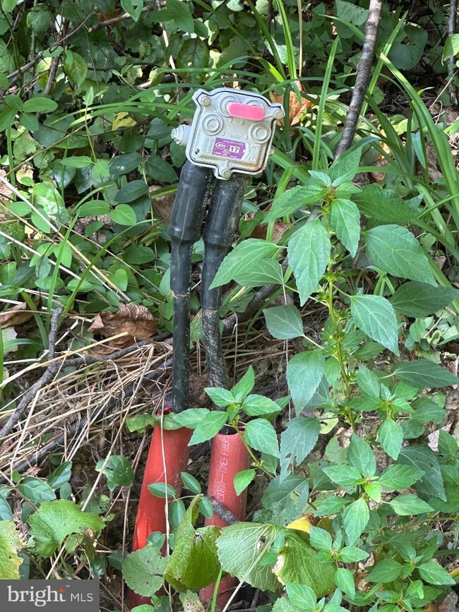 0 Cokesbury Rd, 7, Port Deposit, MD 21904 - photo 4