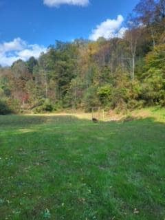 2810 Ogden Vest Rd, Leburn, KY 41831 - photo 3