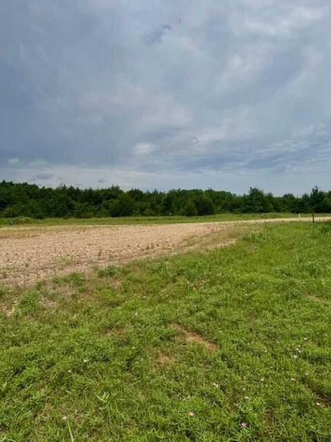 37 Red Bird Ln, Colbert, OK 74733 - photo 7