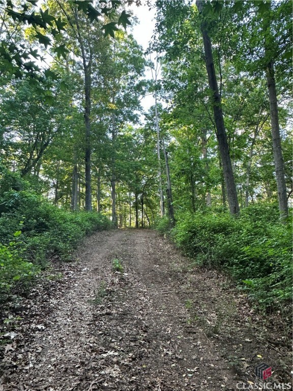 0 Hwy 106 unit 1016968, Hull, GA 30646 - photo 3