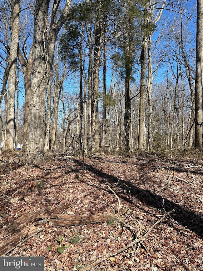 612 Traveller Ct, Lothian, MD 20711 - photo 2