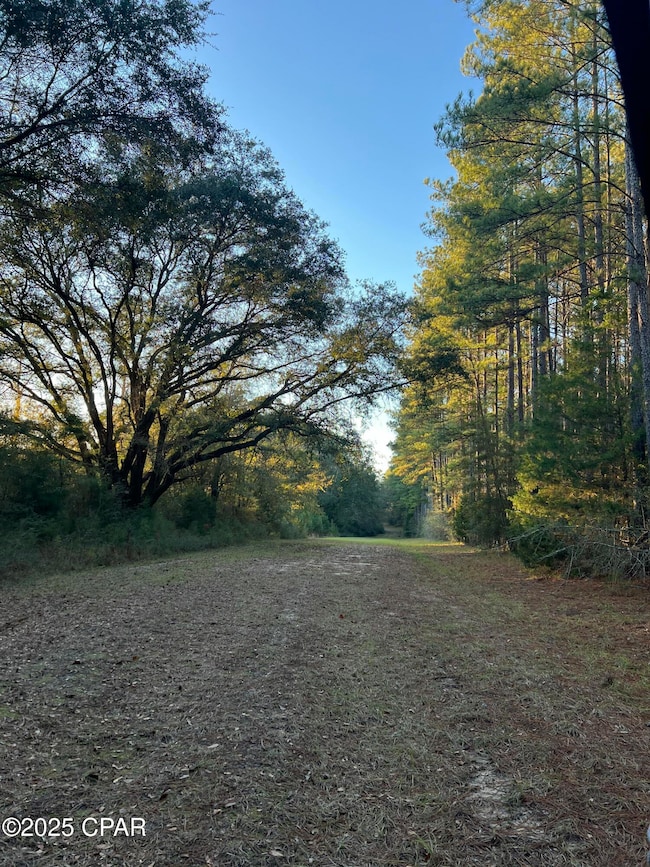 12D White Oak Ln, Bonifay, FL 32425 - photo 3