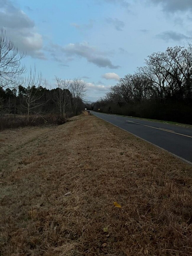 818 McMath Mill Road Extension, Americus, GA 31709 - photo 2