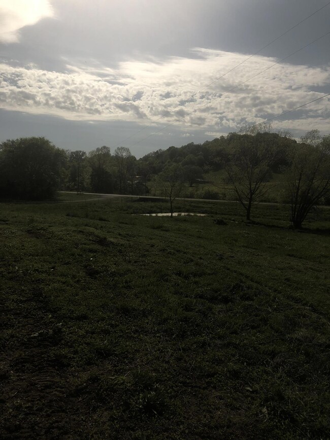 View of creek that runs along the front of the property and road in front of the property
