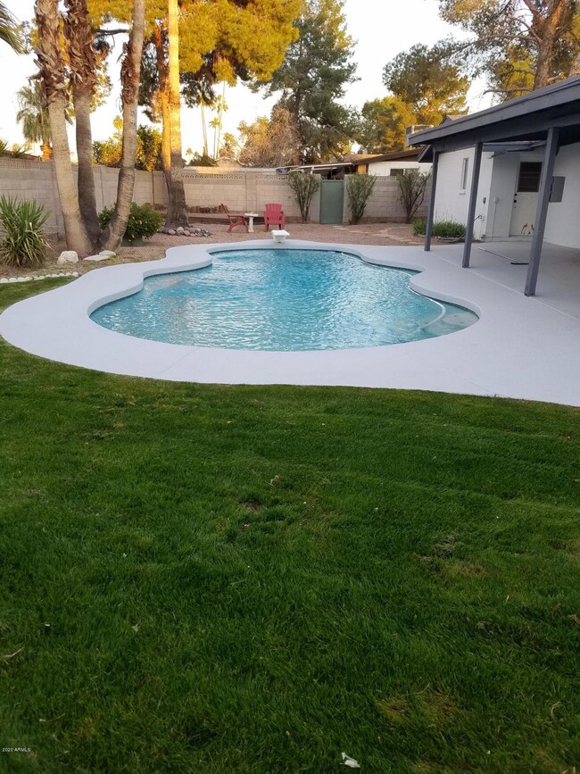 New replastered pool