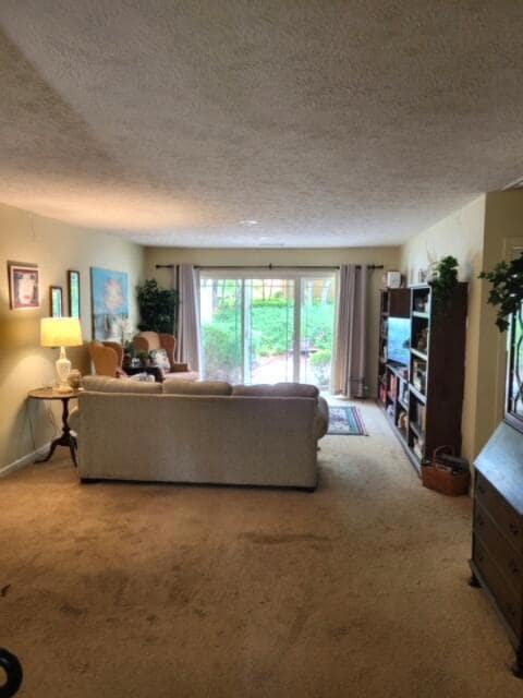 201-A Landing Dr Living Rm.JPG2
