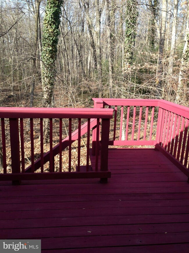 4418 Pickett Rd, Fairfax, VA 22032 - photo 7