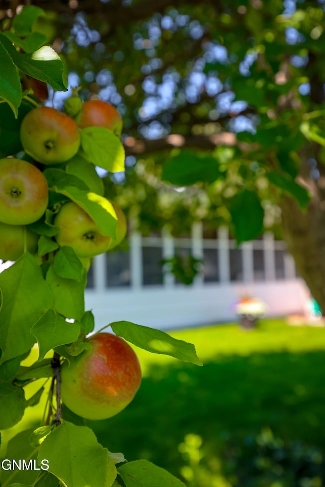 815 14th St W, Williston, ND 58801 - photo 7