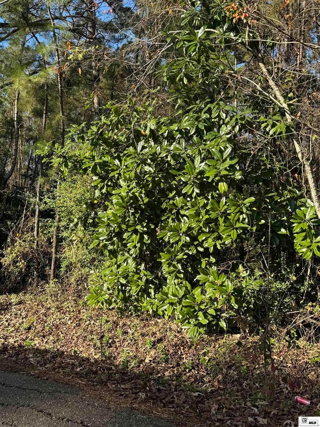 Lots 2, 3, 8 E 9th St, Jonesboro, LA 71251 - photo 2