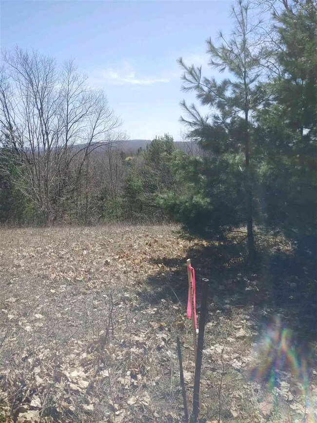 0 Springvale Rd, Petoskey, MI 49770 - photo 5