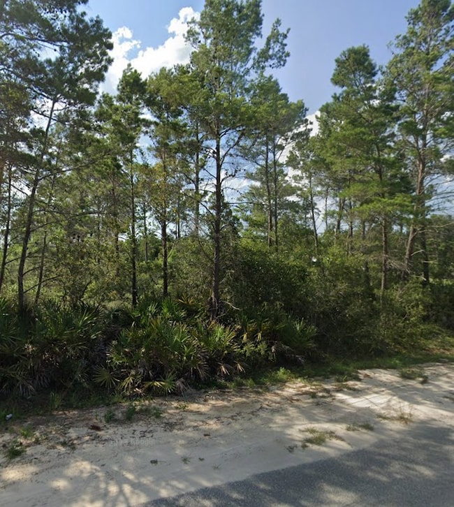 208 Woodill Rd, Carrabelle, FL 32322 - photo 2