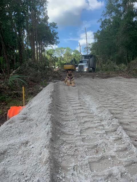 Xx126th Ter N, Jupiter, FL 33478 - photo 6