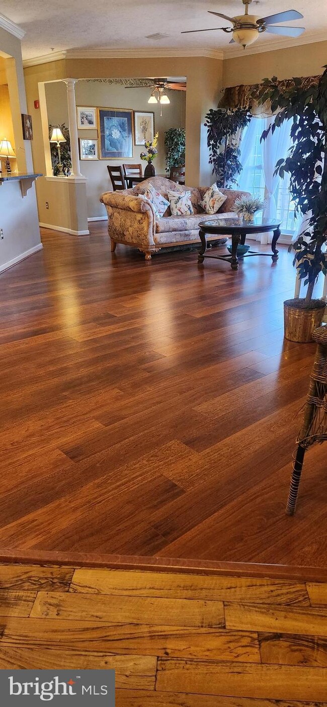 2404 Chestnut Terrace Ct unit 102, Odenton, MD 21113 - photo 5