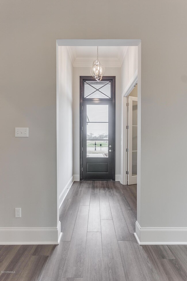 Allemond West Indies-9599