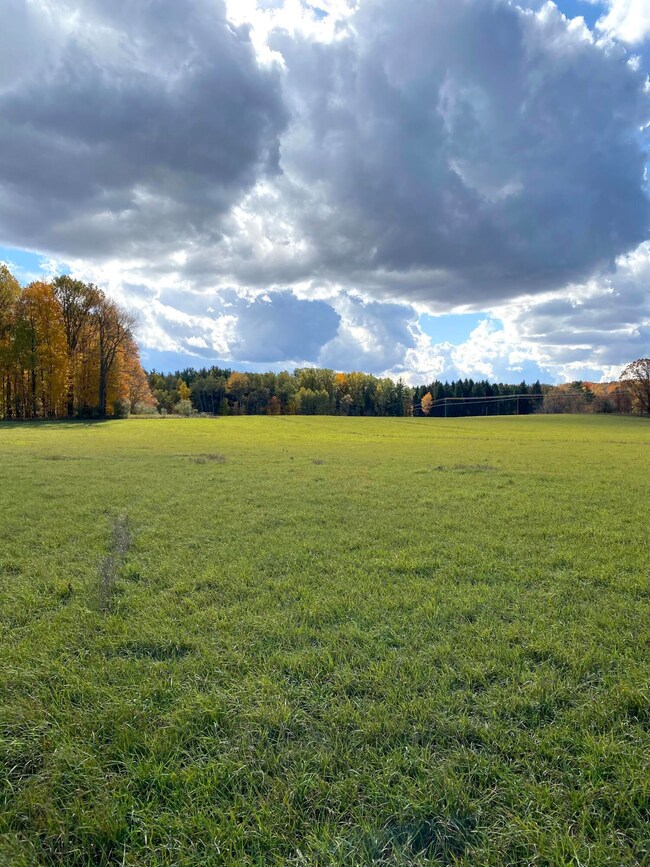 Fall view
