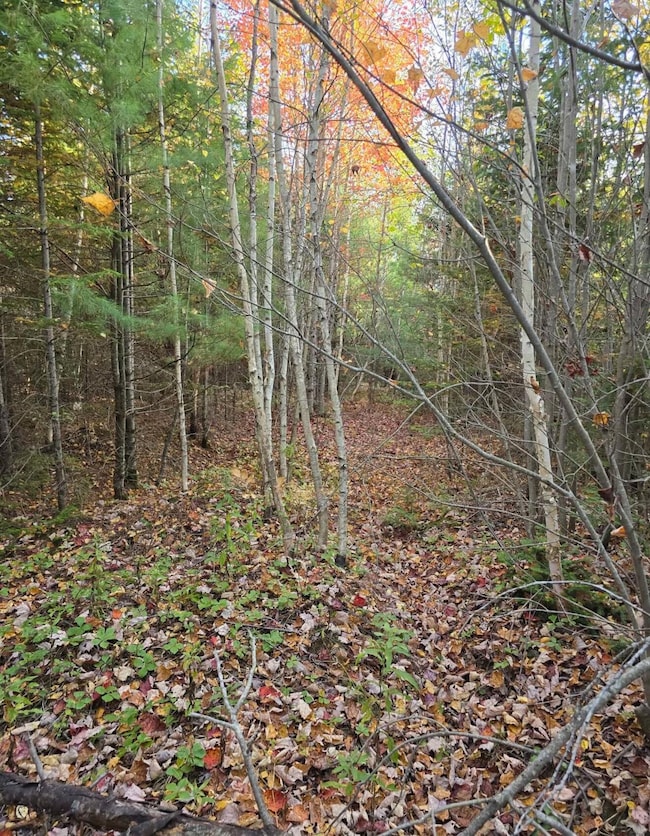 46-S-5-G Gh Lord Rd, Detroit, ME 04929 - photo 3